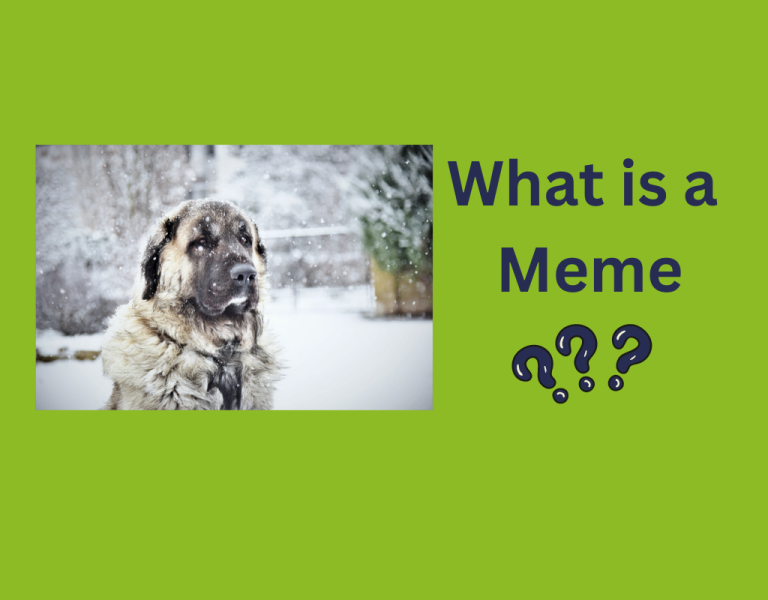 What is a Meme and why they are so important?